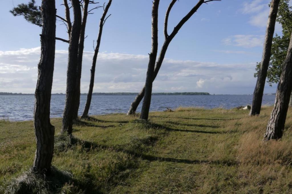 Fewo 08 Seemoewe Mit Blick Auf Salzhaff Und Ostsee Rerik Exterior photo